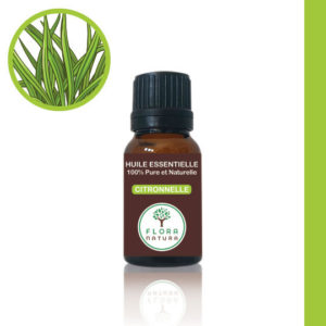 Citronnelle Cymbopogon citratus Lemongrass