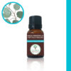 Eucalyptus citronné Eucalyptus citriodora Eucalyptus اوكالبتوس