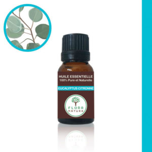 Eucalyptus citronné Eucalyptus citriodora Eucalyptus اوكالبتوس