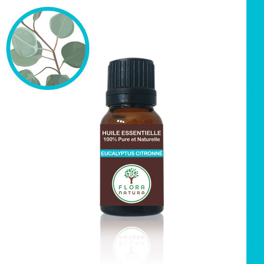 Eucalyptus citronné Eucalyptus citriodora Eucalyptus اوكالبتوس