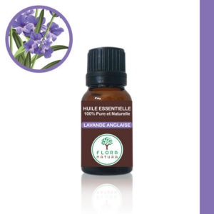 Lavande anglaise Lavandula dentata Lavender خزامة