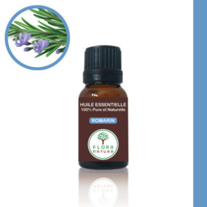 Romarin Rosmarinus officinalis Rosemary إكليل