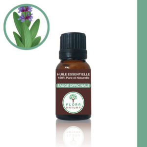 Sauge officinale Salvia officinalis Sage مريمية