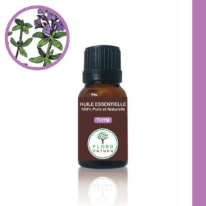 Thym Thymus vulgaris Thyme زعتر